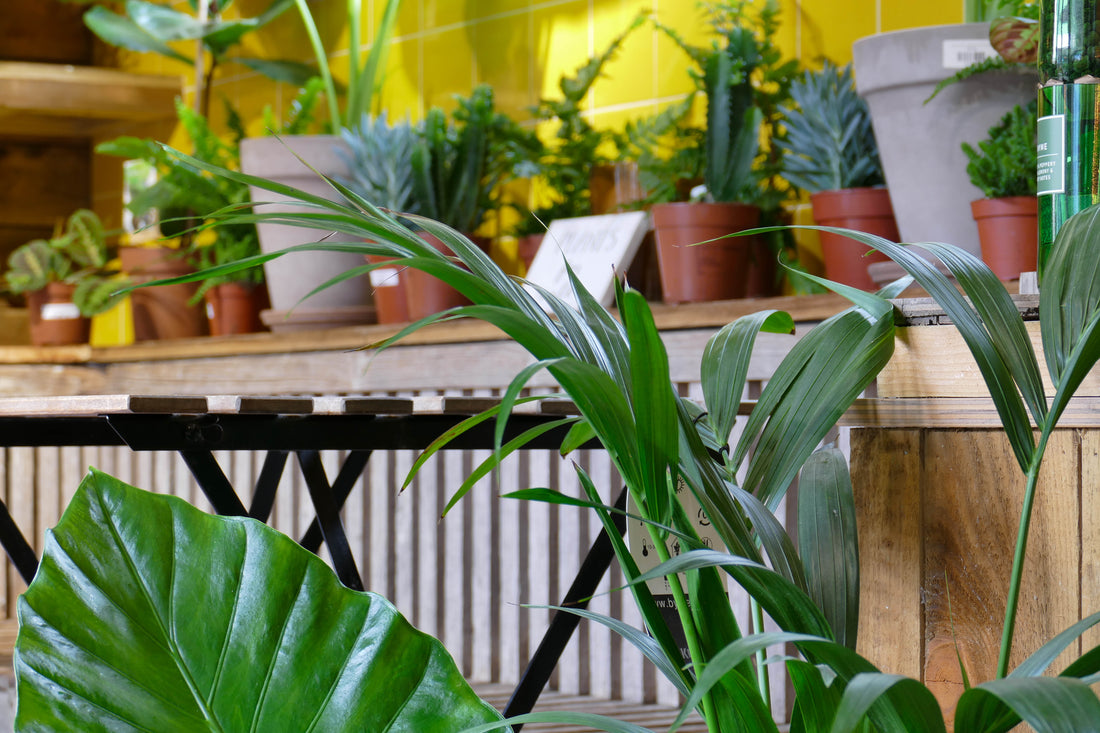 Monthly Discovery Blog - March