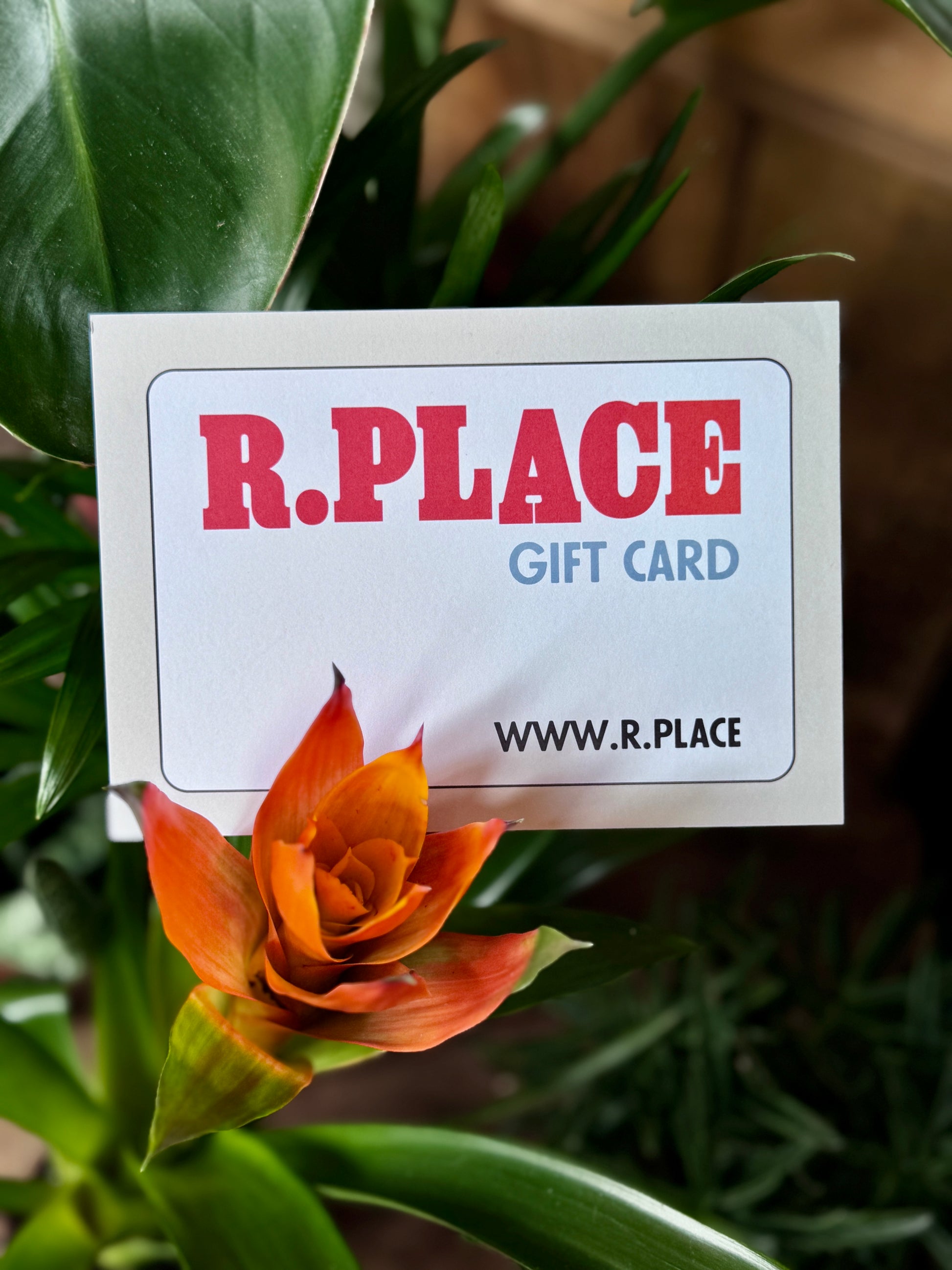 R.Place Classic Gift Card | From £15 - £250