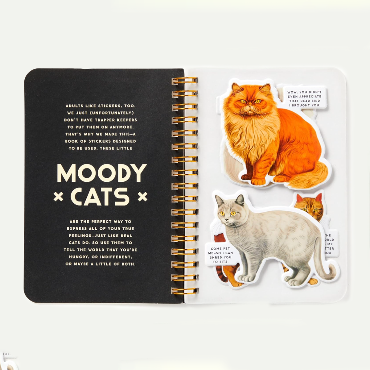 Moody Cats Sticker Book