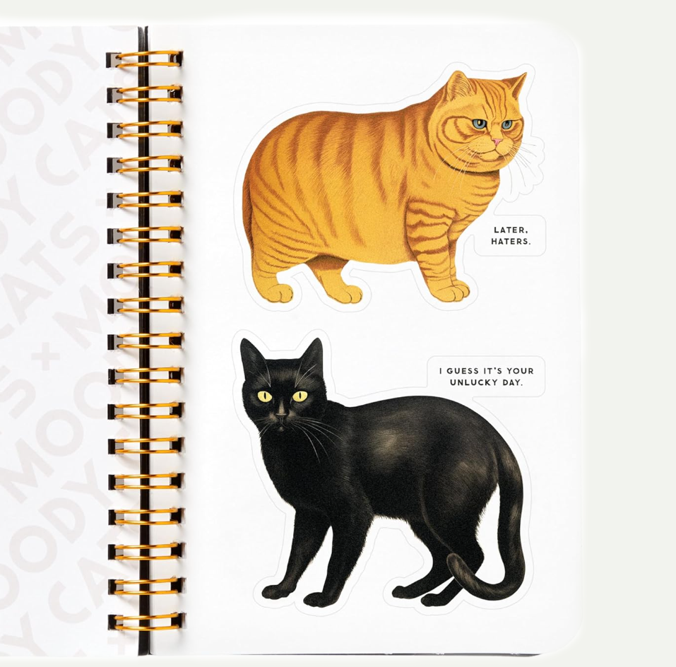 Moody Cats Sticker Book