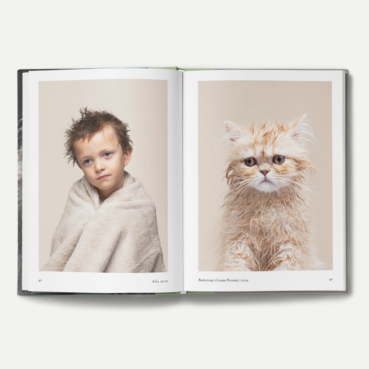 New Photography of the Cat