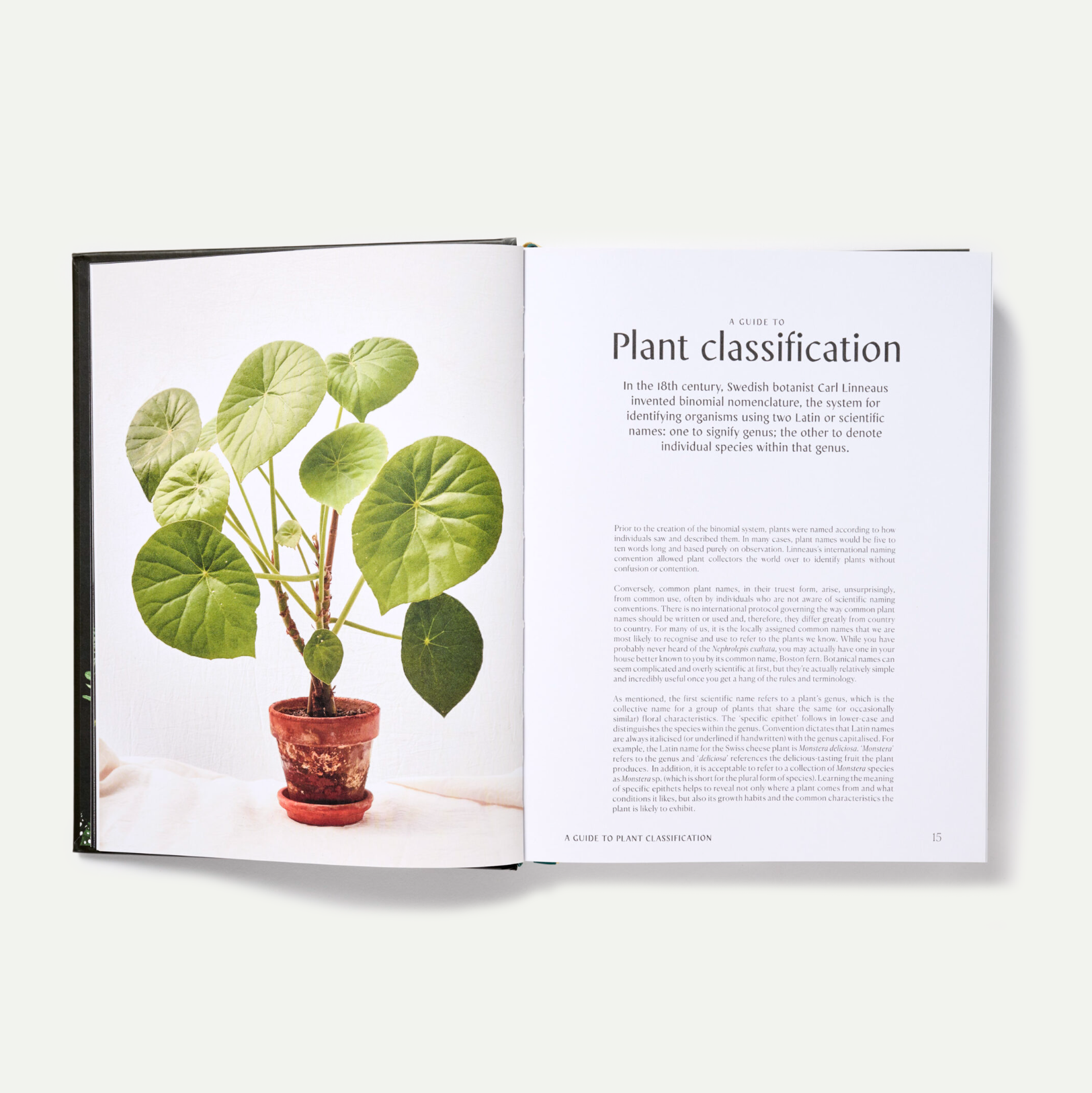 Plantopedia by Lauren Camilleri & Sophia Kaplan
