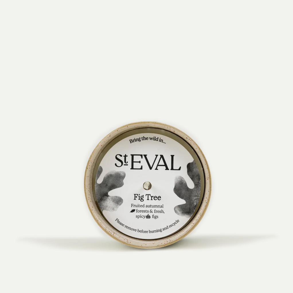 Fig Tree Sea & Shore Candle Pot