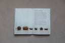 Do Inhabit, Interior Design Guide Inspired by Nature