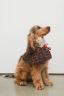 Dark Leopard Novelty Wastage Collar