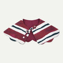 Burgundy Stripe Novelty Wastage Collar