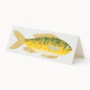 Cheery Fish