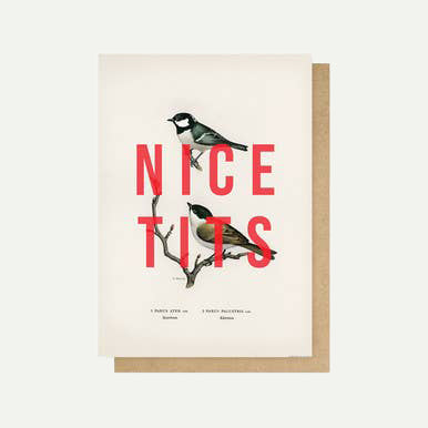 Nice Tits Greetings Card