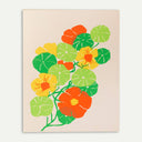 Nasturtium Greeting Card
