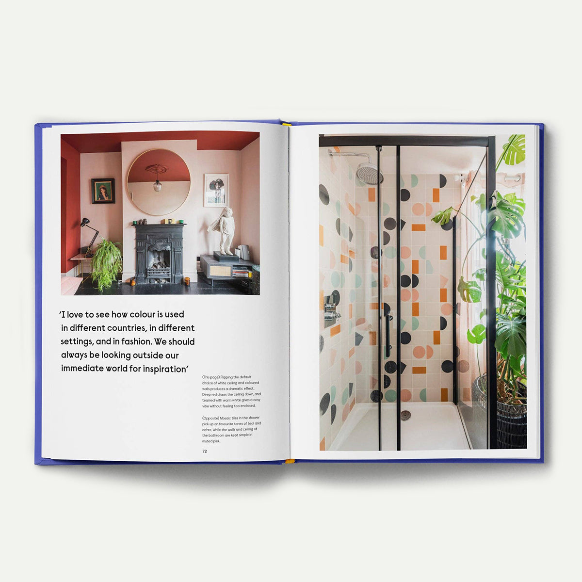 The New Colourful Home