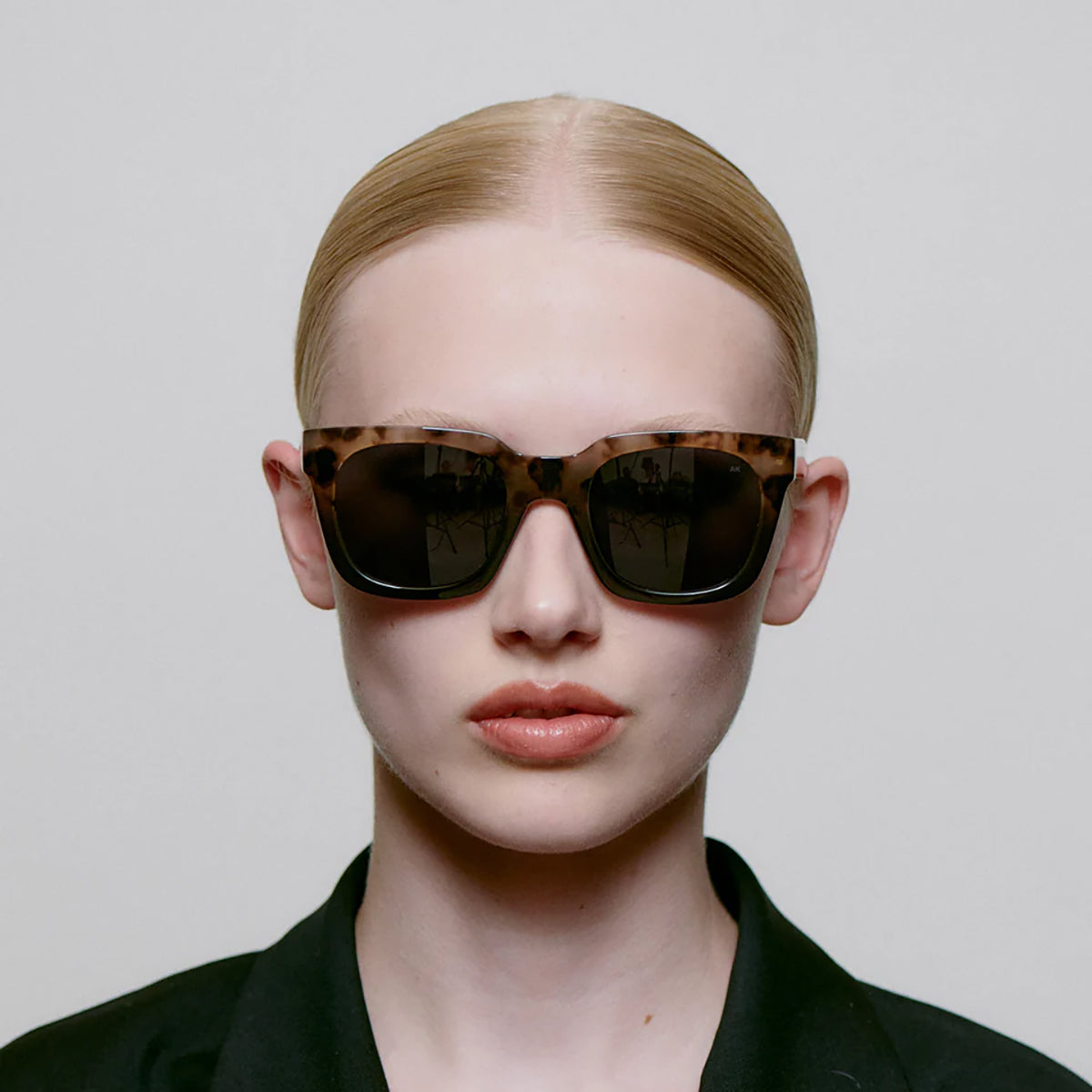 Grey Transparent/Coquina Nancy Sunglasses