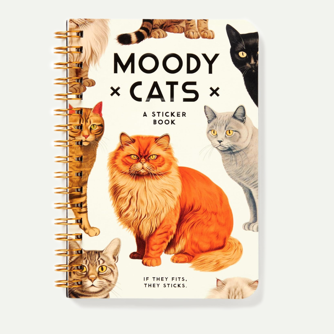 Moody Cats Sticker Book