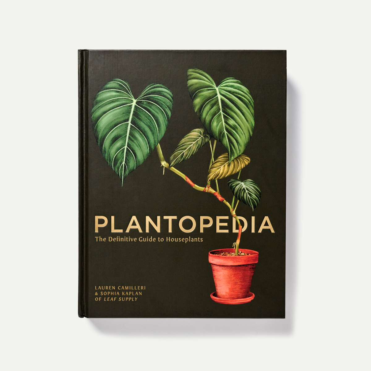 Plantopedia by Lauren Camilleri & Sophia Kaplan
