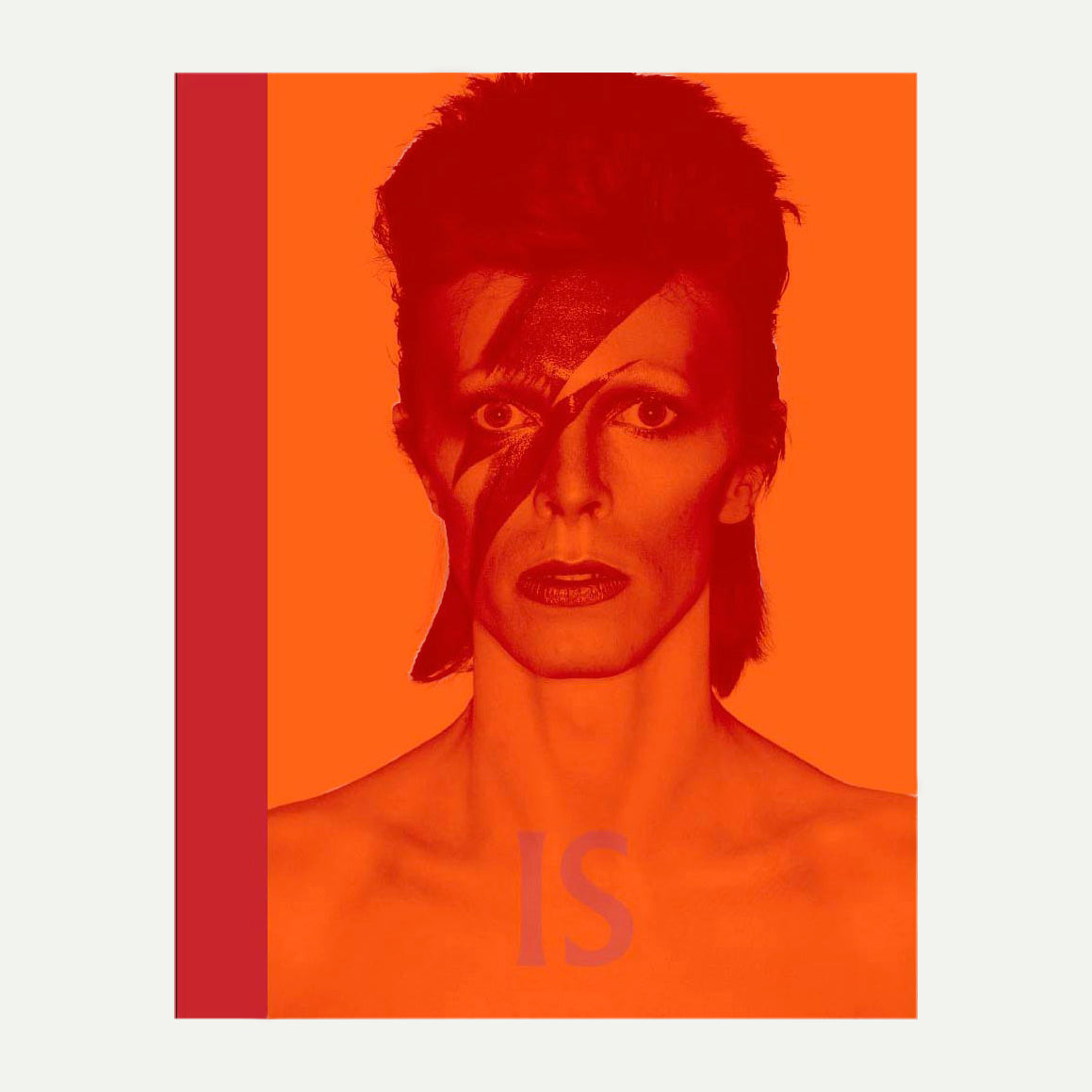 David Bowie Is