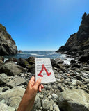 Do Walk Book, Guide for Mindful Walkers