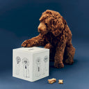 Blue/White Large HAY Dog Food Storage Tin