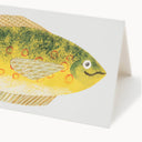 Cheery Fish