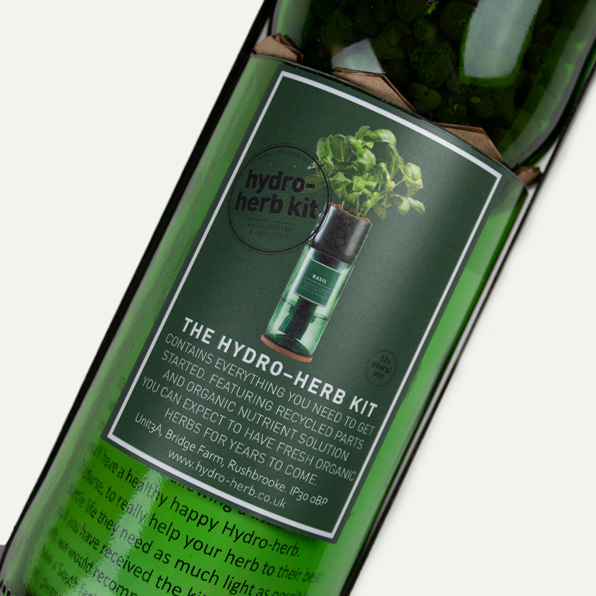 Thyme Grow Kit