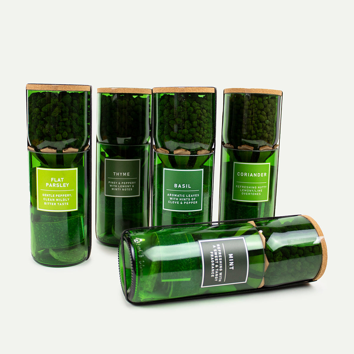Flat Parsley Grow Kit