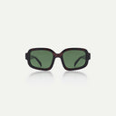 Demi Tortoise Pluto Sunglasses