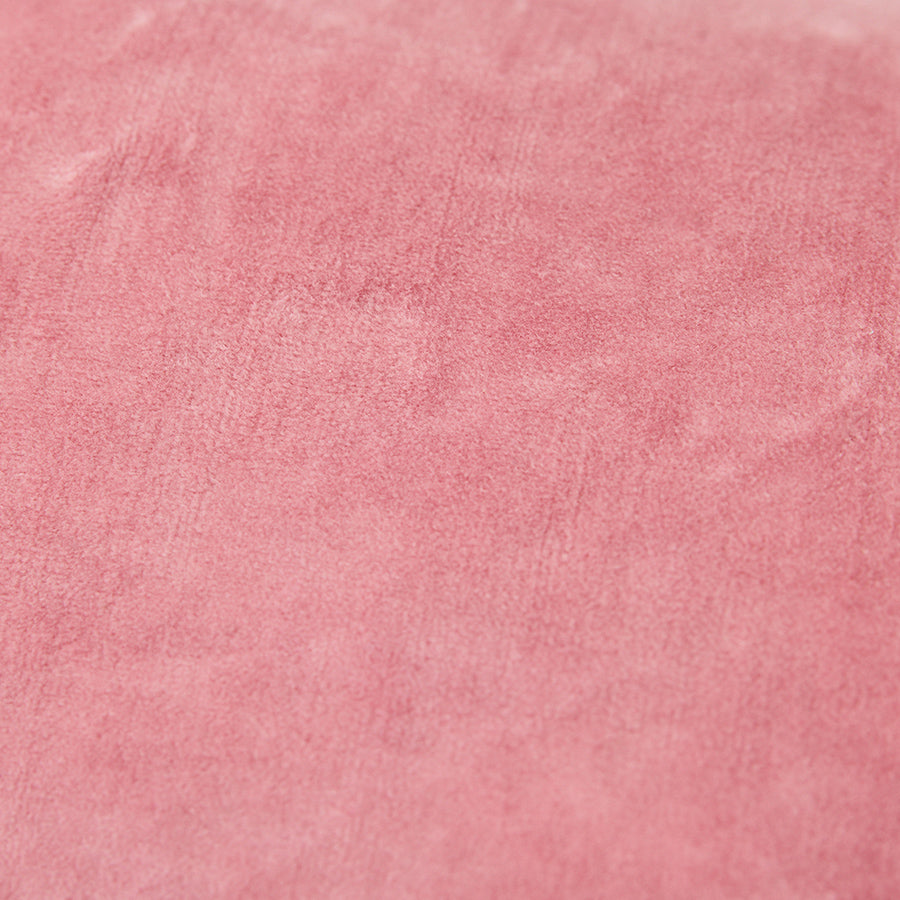 Rose Velvet Cushion