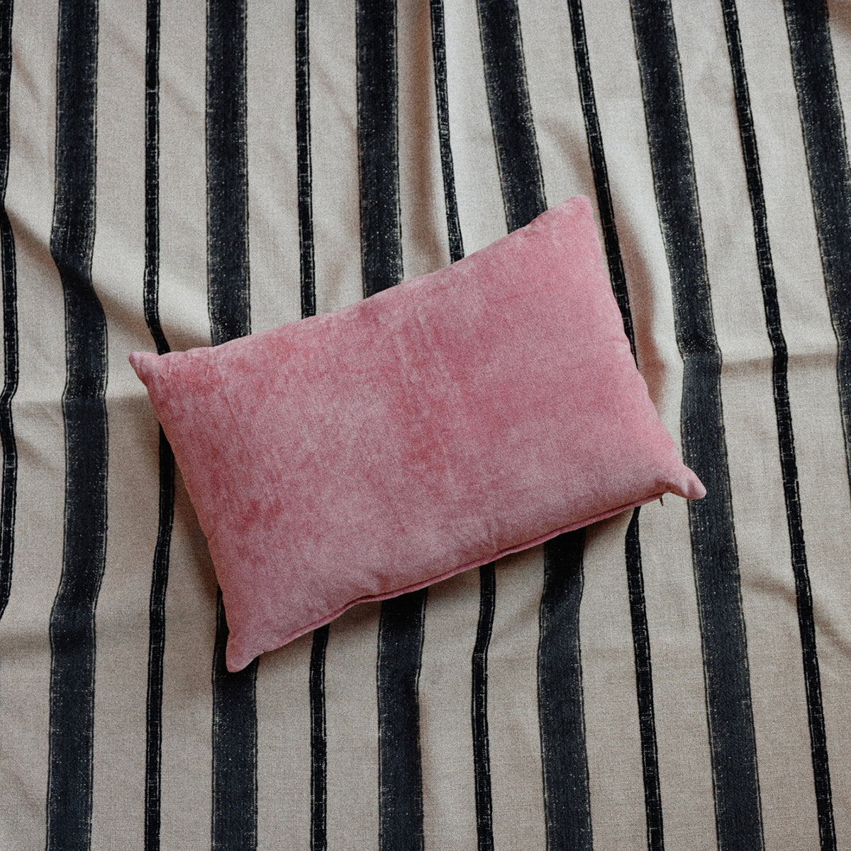 Rose Velvet Cushion