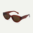 Brown Transparent Winnie Sunglasses
