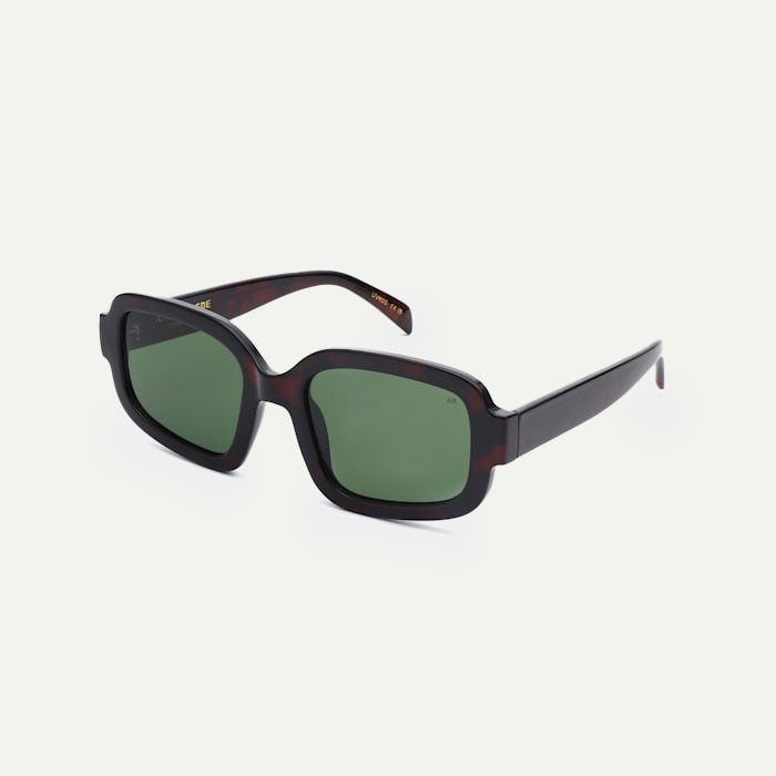 Demi Tortoise Pluto Sunglasses