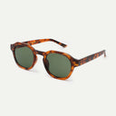 Havana Zan Sunglasses