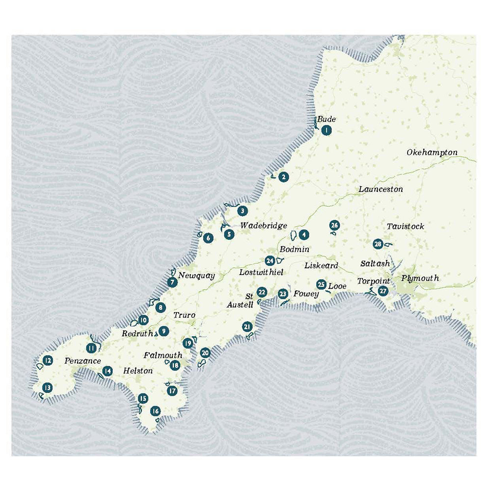 Bookspeed 'Wild Swimming Walks Cornwall' Paperback